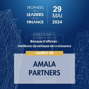Macaron - Meilleure dynamique de croissance - Amala Partners